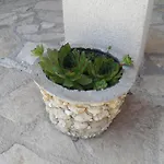 Agroturizam Duvancic - Konoba Dida Marka 4* Drniš
