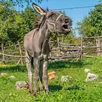 Agroturizam Duvancic - Konoba Dida Marka