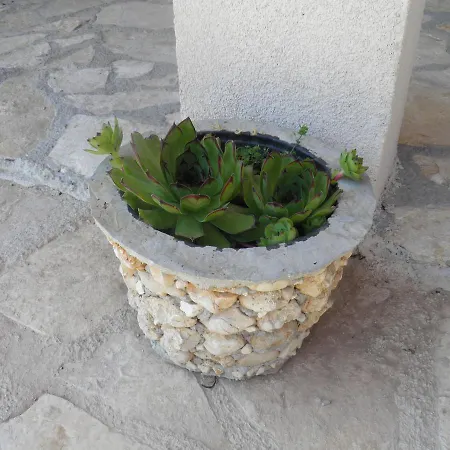 Agroturizam Duvancic - Konoba Dida Marka 4* Drniš