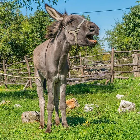 Agroturizam Duvancic - Konoba Dida Marka