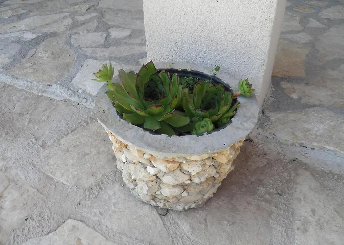 Agroturizam Duvancic - Konoba Dida Marka 4* Drniš